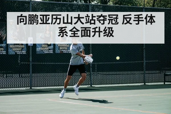 向鹏亚历山大站夺冠 反手体系全面升级